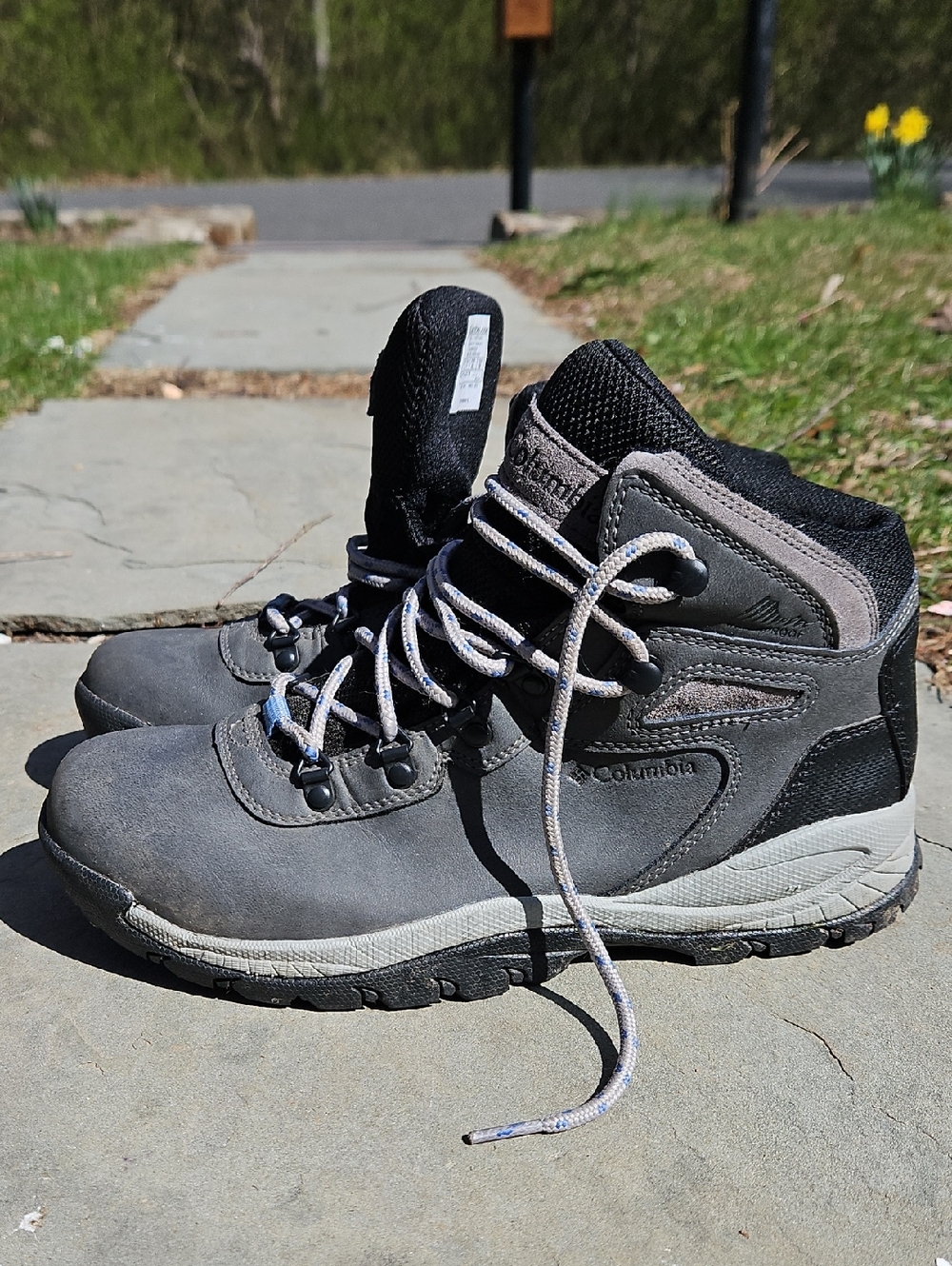 Columbia Gray Newton Ridge Plus Hiking Boots